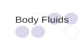 Body Fluids. Serous fluids Cerebrospinal fluid (CSF)