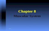 8 - 1 Chapter 8 Muscular System. Definition:Three Types (definition & example) Functions:Examples : Muscular System (Muscles) - Organs composed of specialized.