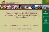 Forest health in the drying climate of southwest Western Australia Niels Brouwers, T. Lyons, G. Hardy n.brouwers@murdoch.edu.au.