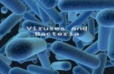 Viruses and Bacteria. What is a Virus? A virus is a noncellular particle made up of genetic material and protein that can invade living cells Structure.