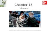 Chapter 16 Viruses Masks: ©Yuriy Dyachyshyn/AFP/Getty Images Copyright © McGraw-Hill Education. All rights reserved. No reproduction or distribution without.