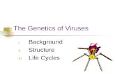 The Genetics of Viruses I. Background II. Structure III. Life Cycles.