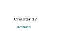 Chapter 17 Archaea. I. Phylogeny and General Metabolism  17.1 Phylogenetic Overview of Archaea  17.2 Energy Conservation and Autotrophy in Archaea.