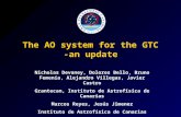 The AO system for the GTC -an update Nicholas Devaney, Dolores Bello, Bruno Femenía, Alejandro Villegas, Javier Castro Grantecan, Instituto de Astrofísica.