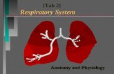 Anatomy and Physiology Respiratory System [Tab 2] Respiratory System.