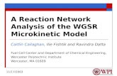 A Reaction Network Analysis of the WGSR Microkinetic Model Caitlin Callaghan, Ilie Fishtik and Ravindra Datta Fuel Cell Center and Department of Chemical.