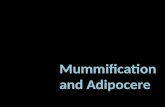 Mummification and Adipocere. The Optimum Conditions for Mummification  dry & warm climate. Once the changes are complete, the body will remain in that.