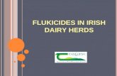 FLUKICIDES IN IRISH DAIRY HERDS. Determination of the prevalence of Ostertagia ostertagi, Fasciola hepatica and Dictyocaulus viviparus in Irish dairy.