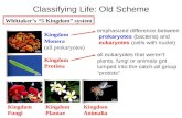 Classifying Life: Old Scheme emphasized difference between prokaryotes (bacteria) and eukaryotes (cells with nuclei) all eukaryotes that weren’t plants,