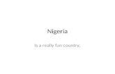Nigeria Is a really fun country.. Event 1: Nok People The Nok people, who lived North of the Niger Benue river from the years 900BC to 200AD, are known.