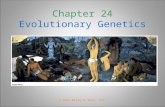 Chapter 24 Evolutionary Genetics © John Wiley & Sons, Inc.
