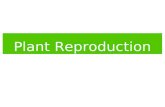 Plant Reproduction Asexual Reproduction Asexual reproduction is natural “cloning.” Parts of the plant, such as leaves or stems, produce roots and become.