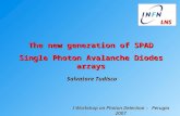 Salvatore Tudisco The new generation of SPAD Single Photon Avalanche Diodes arrays I Workshop on Photon Detection - Perugia 2007 LNS LNS.