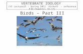 Birds – Part III VERTEBRATE ZOOLOGY (VZ Lecture25 – Spring 2012 Althoff - reference PJH Chapters 16-17) Bill Horn.