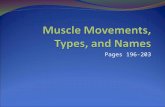 Pages 196-203. Muscles and Body Movements Movement is attained as a result of a muscle moving an attached bone Muscles are attached to at least two points.