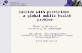 DEPARTMENT OF INTERNATIONAL HEALTH UNIVERSITY OF COPENHAGEN Suicide with pesticides - a global public health problem Flemming Konradsen University of Copenhagen.