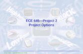 ECE 545 – Introduction to VHDL ECE 645—Project 2 Project Options.