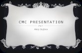 CMC PRESENTATION Mary Stufano. TOPIC  Through content analysis and textual analysis, I studied how feminism is influencing women on television through.