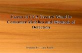 Prepared by: Gary Jacobi Extent of CCA Treated Wood in Consumer Mulches and Methods of Detection.