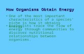 How Organsims Obtain Energy How Organisms Obtain Energy One of the most important characteristics of a species’ niche is how it obtains energy. Ecologists.