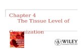 Chapter 4 The Tissue Level of Organization. Copyright 2009, John Wiley & Sons, Inc. What is a Tissue? A tissue is a group of cells  Common embryonic.
