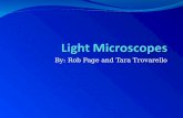 By: Rob Page and Tara Trovarello. Light Microscope The Light microscopes are a simple microscope that uses only one lens for magnification. Light Microscopes.