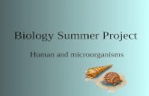 Biology Summer Project Human and microorganisms Table of content Types of microorganisms Useful of microorganism Immunization.