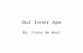 Our Inner Ape By: Frans de Waal. Apes in the family Social needs in humans Bonobo sensitivity to what others desire Saying hello and goodbye Facial recognition.