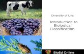 BioEd Online Diversity of Life: Introduction to Biological Classification BioEd Online.