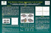 Neural Substrates of Phonemic Categorization in the Left Temporal Lobe Einat Liebenthal, Rutvik Desai, Eric J Waldron, Jeffrey R Binder Neurology Department,