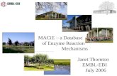 MACiE – a Database of Enzyme Reaction Mechanisms Janet Thornton EMBL-EBI July 2006.