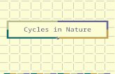 Cycles in Nature. The Cycles of Matter Three cycles that moves matter among the environment and living things Water cycle Carbon cycle Nitrogen cycle.