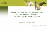 1 EXPECTATIONS OF VETERINARIANS IN THE MEMBER STATES TO FVO INSPECTION SYSTEM Brussels, 13 June 2012 Christophe Buhot DVM.