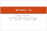 Sergey Parinov, euroCRIS membership meeting, St. Andrews, November 2009 BP/DRIS TG.