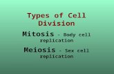 Types of Cell Division Mitosis - Body cell replication Meiosis - Sex cell replication.