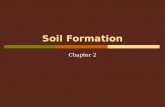 Soil Formation Chapter 2. Soil Analysis Ch22 2.1 Parent Material  soil does not simply form from bits of rock and decaying plant matter  formation takes.