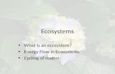 Ecosystems What is an ecosystem? Energy Flow in Ecosystems Cycling of matter.