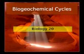 Biogeochemical Cycles Biology 20. Chemicals Cycle Inorganic nutrients are cycles through natural ecosystems repeatedly. Biogeochemical cycles are the.