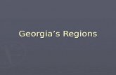 Georgia’s Regions. Costal Plains 1. Coastal Plain Region ► 60% of the state is Coastal Plain ► The Coastal Plain is located in the Southern part of the.