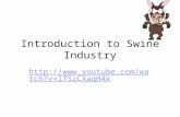 Introduction to Swine Industry  5zCXaqH4k.
