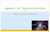 SOURCES OF SOCIAL EXPERIENCE Agents of Socialization.