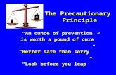 The Precautionary Principle “An ounce of prevention is worth a pound of cure” is worth a pound of cure” “Better safe than sorry” “Look before you leap”