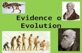 Evidence of Evolution. 1.Fossil Record 2.Homologous Body structures 3.Similarities in Embryology 4.Biochemical Evidence.