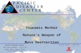P A C I F I C D I S A S T E R C E N T E R Pacific Disaster Center 590 Lipoa Parkway, Suite 259 Kihei, Maui, Hawaii 96753  Tsunamis Mother.