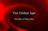The Gilded Age The Rise of Big Labor. Sources of Labor Former Self-employed Siblings in farming families Immigrants (largest category) Between 1870 and.