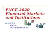 FNCE 3020 Financial Markets and Institutions Lecture 5 Risk in Financial Markets.
