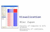 Visualization Blaz Zupan Faculty of Computer & Info Science University of Ljubljana, Slovenia.