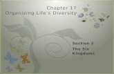 7 Chapter 17 Organizing Life’s Diversity. Eubacteria  Contains about 5,000 species  Organisms in this kingdom:  Are prokaryotic  (Review: cells lack.