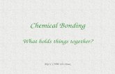 Chemical Bonding What holds things together? PGCC CHM 101 Sinex.