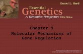Chapter 9 Molecular Mechanisms of Gene Regulation.